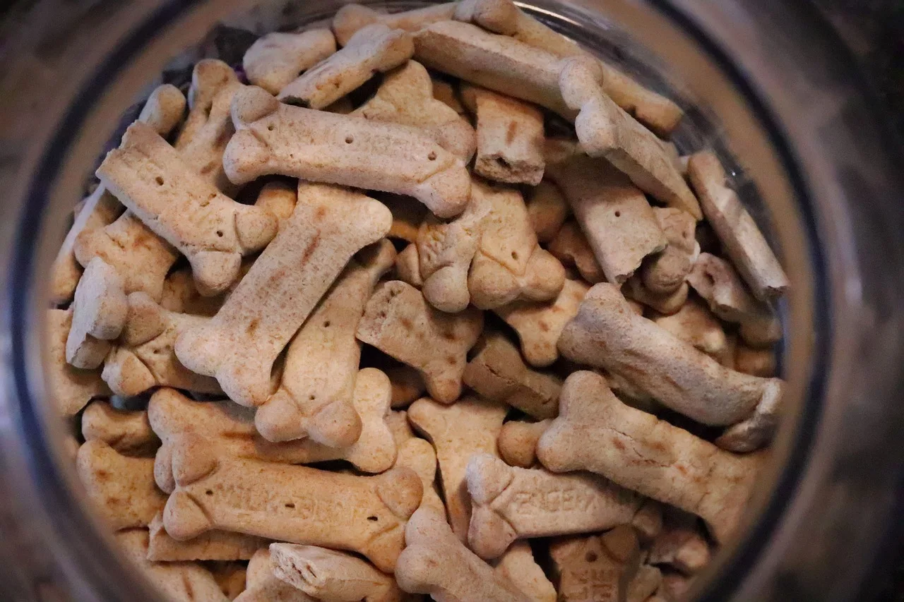 nutrition du chiot